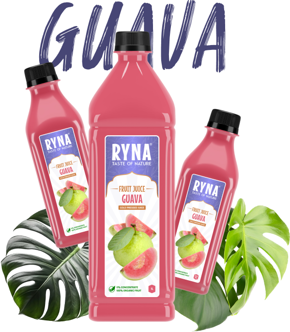 India’s Number One Guava Juice in Poland and Europe